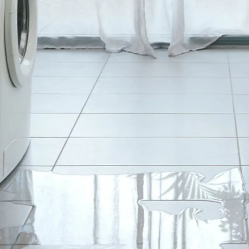 Appliance Leak Cleanup in Plymouth, WI