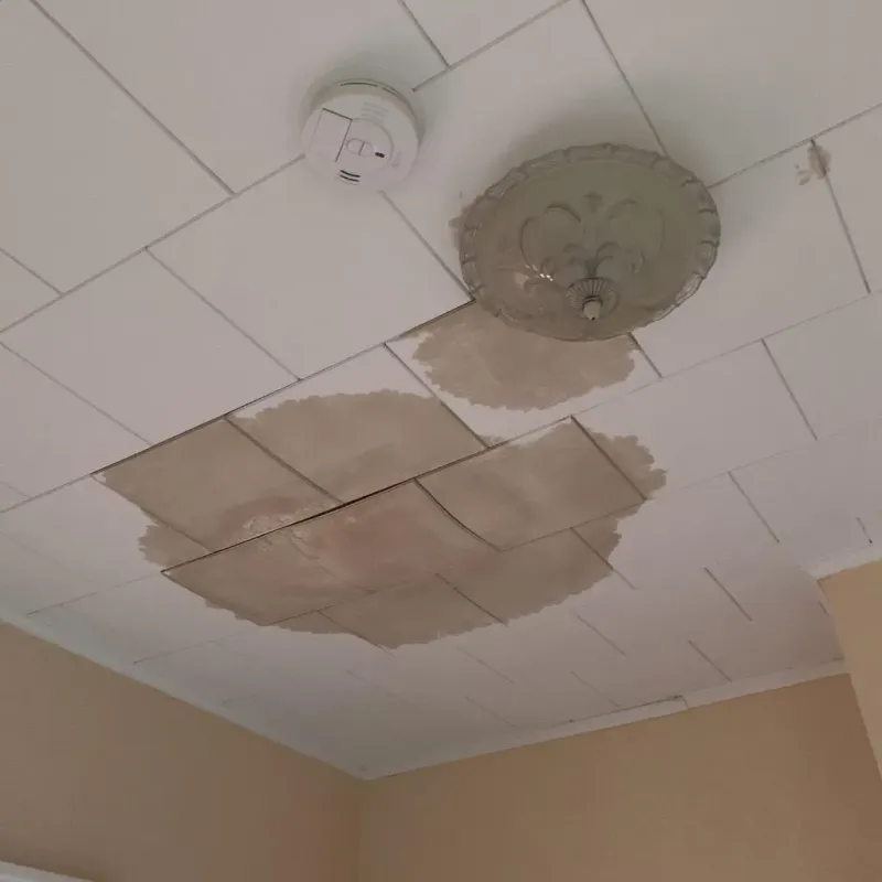 Ceiling Water Damage Repair in Plymouth, WI
